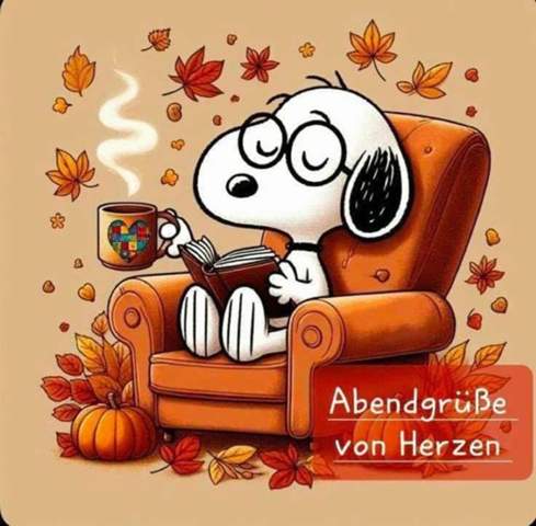 Bild zum Beitrag
