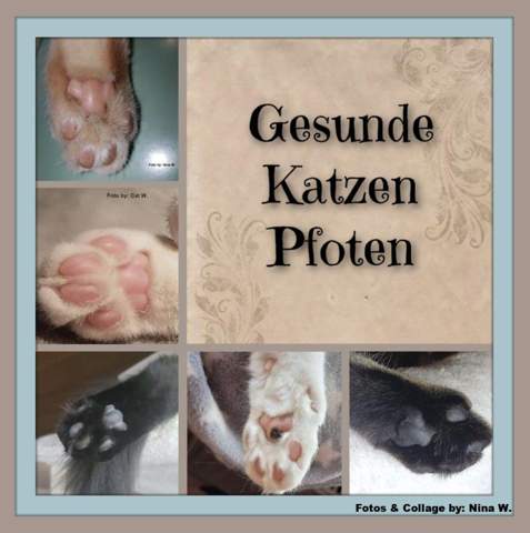 - (Katze, Kater, Tiermedizin)