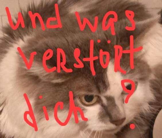 - (Menschen, Sinn des Lebens)