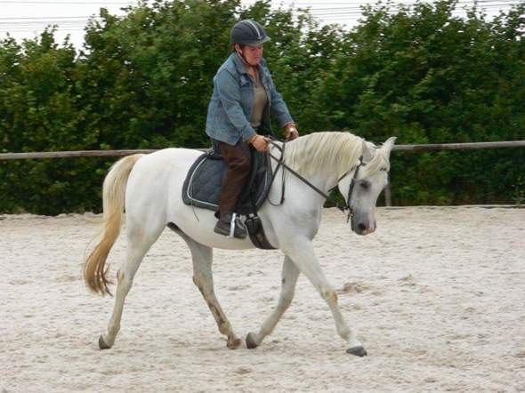 - (Mädchen, Frauen, Reiten)