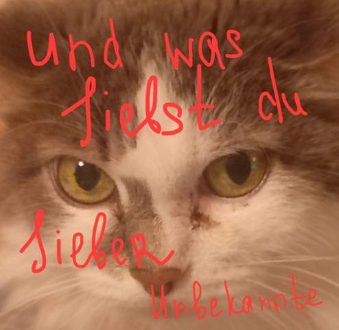 - (Mädchen, Jungs)