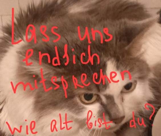 - (Menschen, Lernen, Grammatik)
