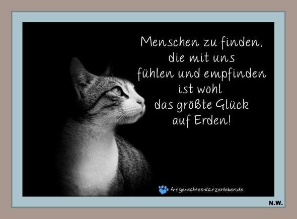 - (Tierhaltung, Tiermedizin, Futter)