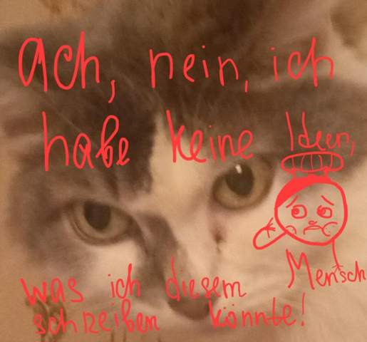 - (Getränke, Bubble Tea)