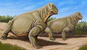 - (Dinosaurier, Paläontologie, Saurier)