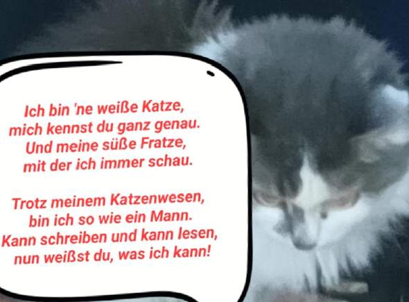 Bild zum Beitrag