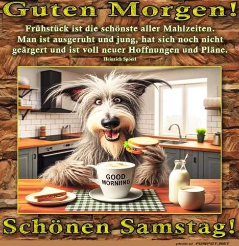 - (Musik, Hobby, Instrument)
