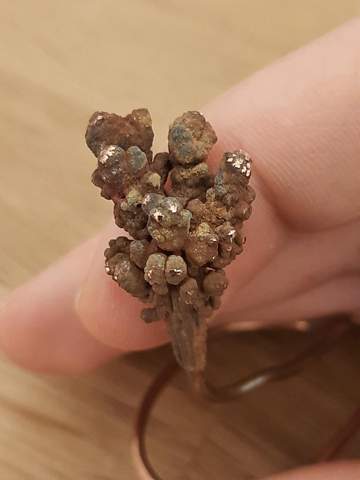 - (Leben, Hobby, wohnen)