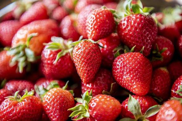 - (Geschmack, Obst, Zucker)