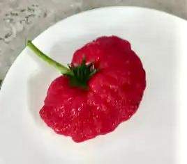 - (Erdbeeren, Erdbeer)