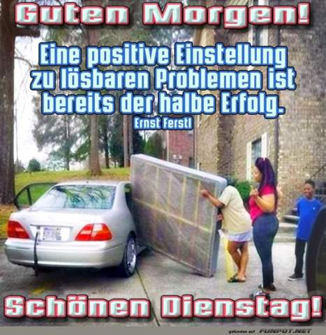 - (Gugumo, Industriekaufmann, Fachkraft für Lagerlogistik)