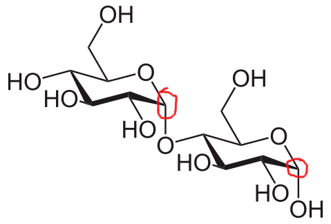 - (Reaktion, Atom, Chemieunterricht)