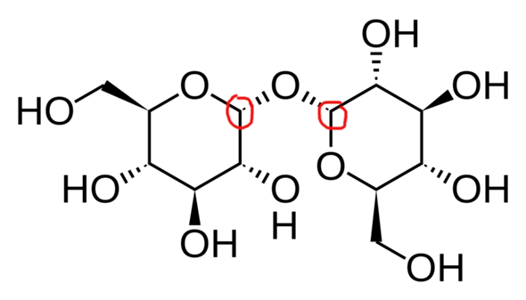 - (Reaktion, Atom, Chemieunterricht)