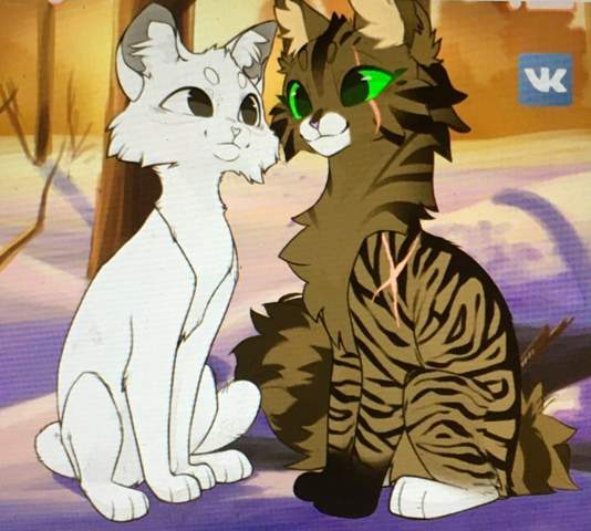 - (Buch, Kreativität, Warrior Cats)