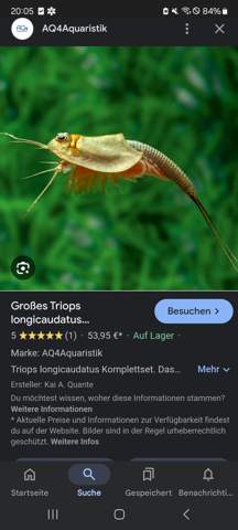 Bild zum Beitrag