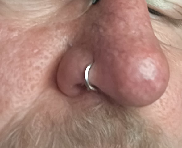 - (Piercing, Nasenpiercing, Nostril-Piercing)