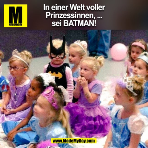 Bild zum Beitrag