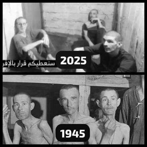 - (Krieg, Israel, Palästina)