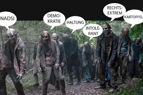 - (AfD, rechts)