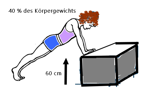 - (Schule, Liegestütze)