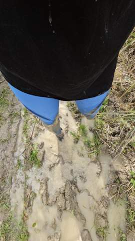 - (Outfit, Fragestellung)