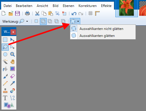 - (Bildbearbeitung, Bildbearbeitungsprogramm, Paint.net)