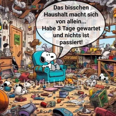 - (Familie, Haushalt, Medikamente)