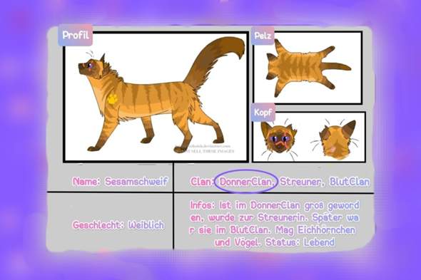 - (Buch, Fantasy, Warrior Cats)