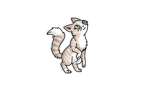 - (Buch, Fantasy, Warrior Cats)