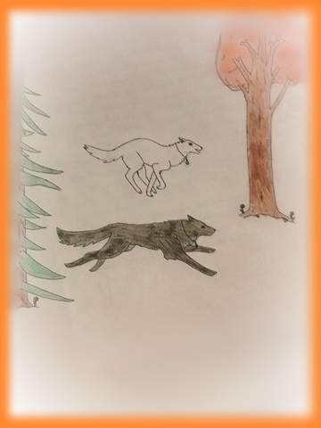 - (Buch, Fantasy, Warrior Cats)