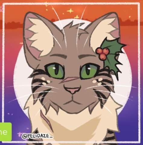 - (Buch, Fantasy, Warrior Cats)