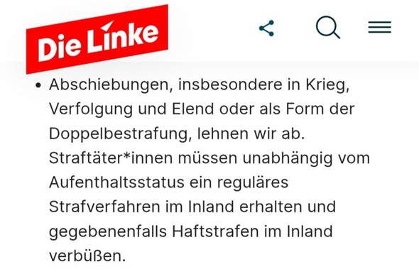 - (Politik, Menschen, DIE LINKE)