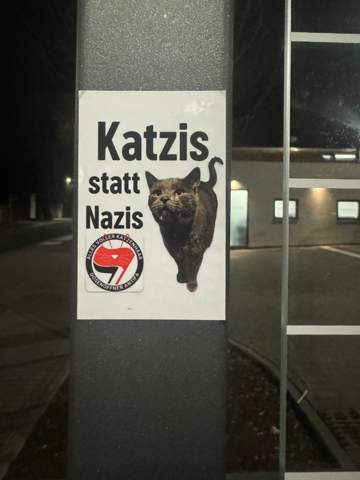 Bild zum Beitrag