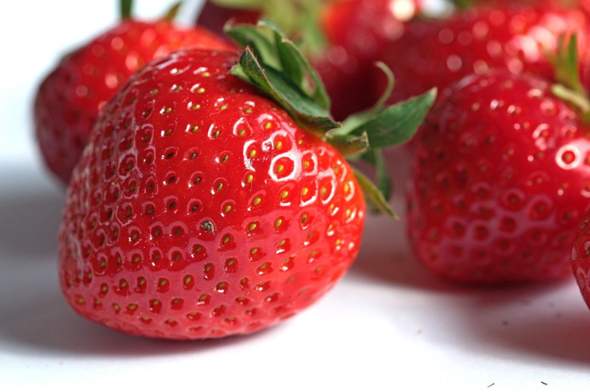 - (Schimmel, Haltbarkeit, Obst)