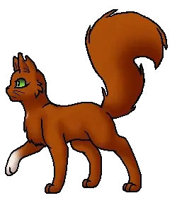 - (Warrior Cats, Erin Hunter, Meinungsäußerung)