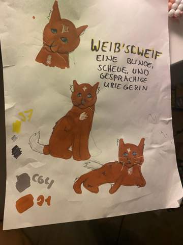 Bild zum Beitrag