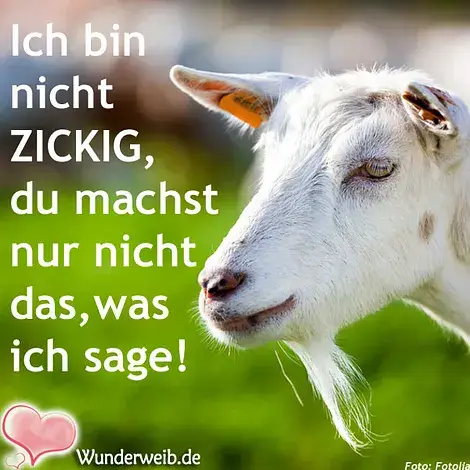 - (Frauen, Männer, Hass)