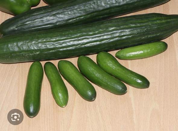 - (Jungs, Penis)