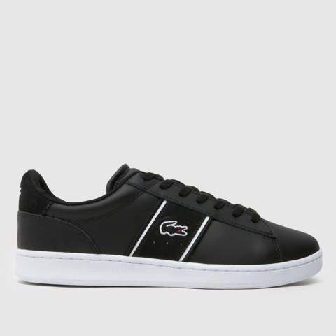 - (Sneaker, Flip Flops)