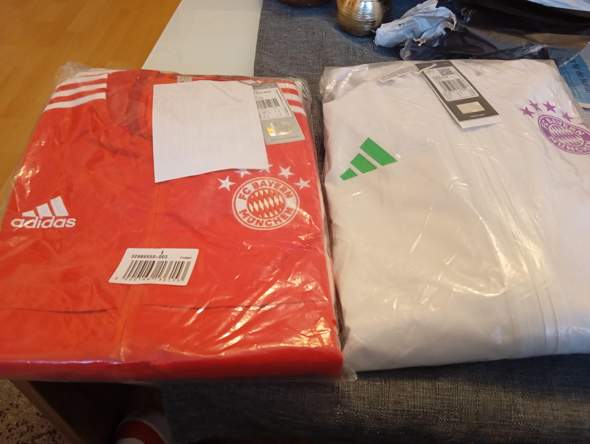 - (Bayern, Bundesliga, Verein)