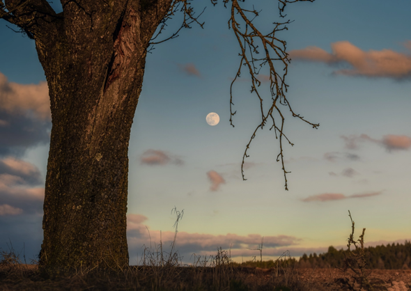 - (Sonne, Mond)