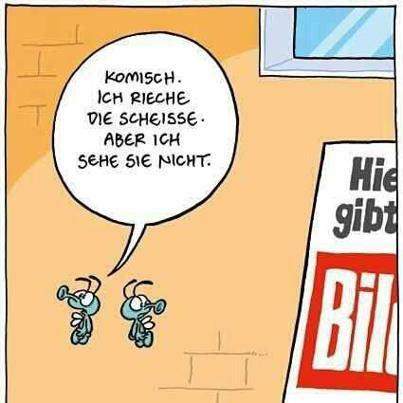 - (Politik, Deutschland, Bilder)
