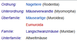 - (Ratten, Nagetiere, Kleintiere)
