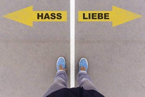 Bild zum Beitrag