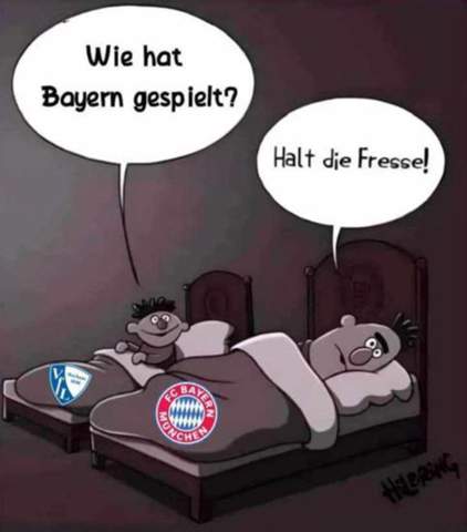 Bild zum Beitrag