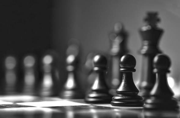 - (Bilder, Schach, Feedback)