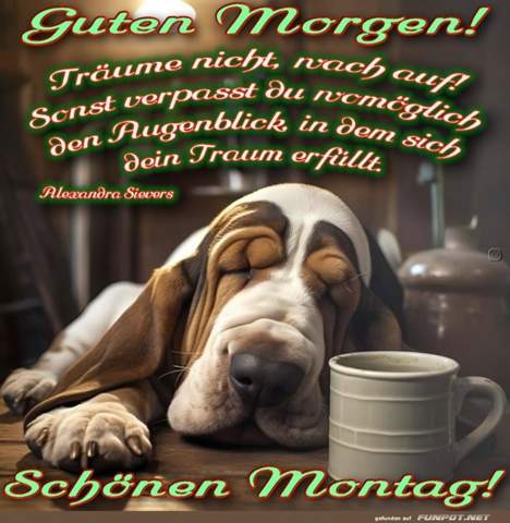 - (Film, Fernsehen, Kino)