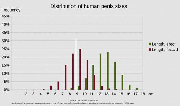 - (Jungs, Sexualität, Penis)