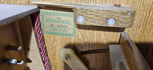 Bild zum Beitrag
