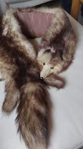 - (Wildtiere, Fuchs)